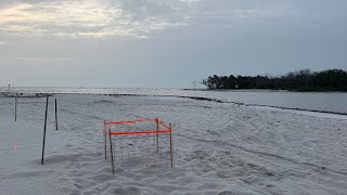 Robb’s Wednesday, Evening Sunset Beach Walk at Delnor-Wiggins in North Naples, FL | June 4, 2025