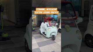 JiXunTech Lovely and Warmly Leisure Tricycle by Acid Electric Battery For three wheeler 极巡科技电动休闲三轮车