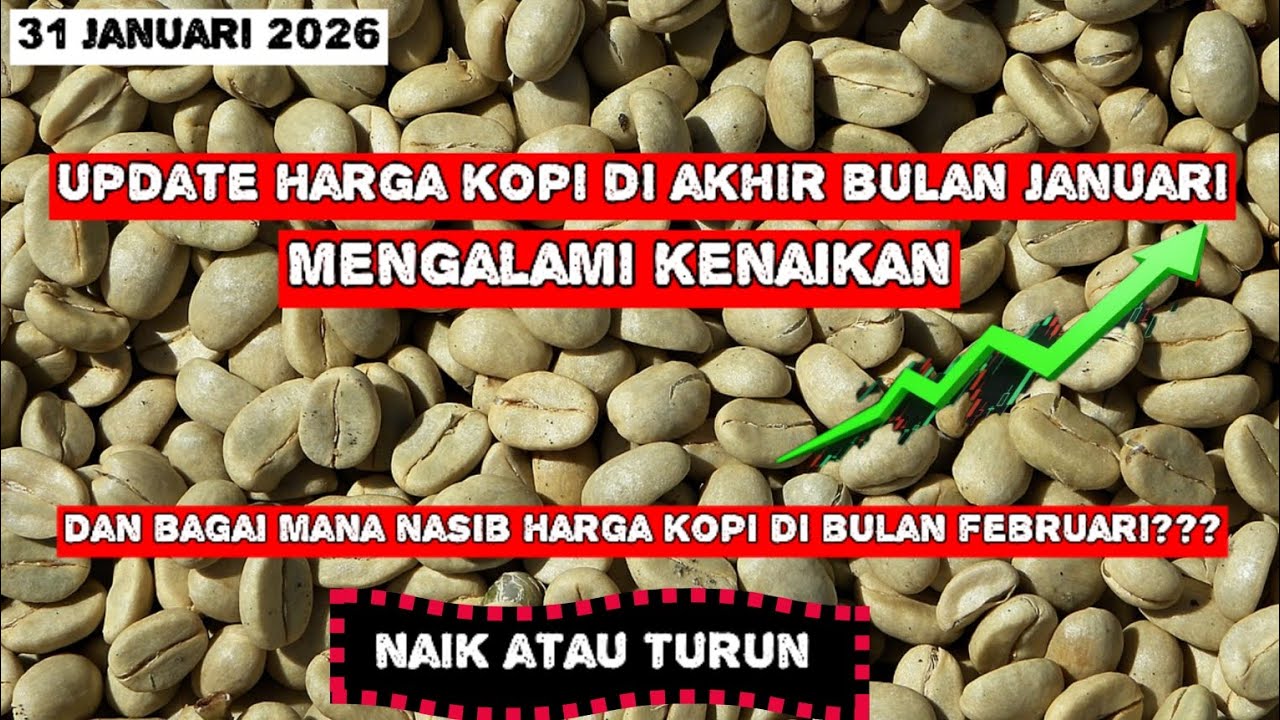 Harga kopi naik lagi bos!! Bulan februari apakah harganya akan semakin naik atau malah anjlok..