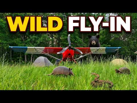 Armadillos, Snakes, Bears, Turtles, and Airplanes! Dave Wyckoff's Fly-In!