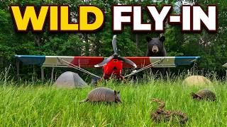 Armadillos, Snakes, Bears, Turtles, and Airplanes! Dave Wyckoff's Fly-In!