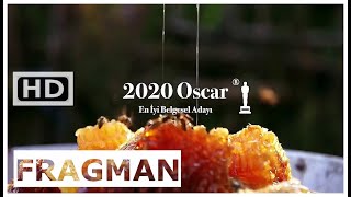 Bal Ülkesi Honeyland - Türkçe Altyazılı Belgesel, Dram Fragmanı - 2020
