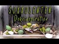 ▶SUKKULENTEN | verschiedene DEKO Variationen DIY