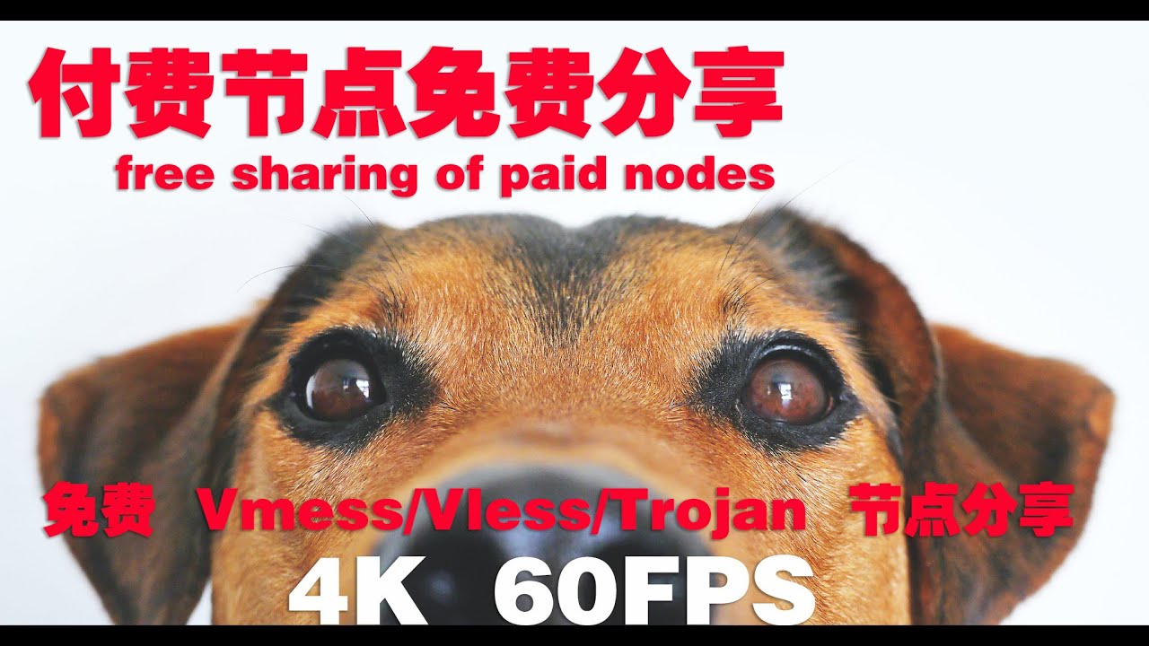 free sharing of paid nodes #62 (2021) | v2ray Fast free node | CC subtitles | top | 4K 60FPS | vmess