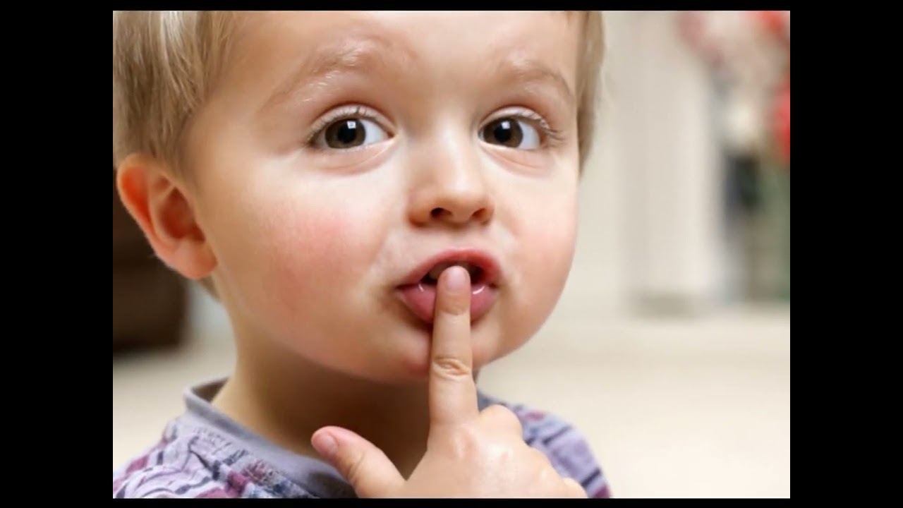 ΓΙΑ ΕΝΑ ΣΧΟΛΕΙΟ ΜΕ ΤΟ ΛΟΓΟ ΤΩΝ ΤΡΙΩΝ ΙΕΡΑΡΧΩΝ