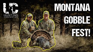 Montana Merriam Tom Came in On A Rope! (Missouri River Breaks Turkey Hunting)