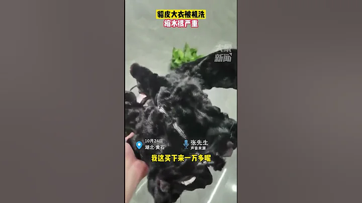 10月24日湖北黄石。笑不活了！男子的貂皮大衣被机洗，缩水很严重 - 天天要闻