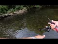 We found a abandoned shelter while fishing 🎣 #fishing #foryou #foryoupage #creek #trout #bass #viral