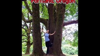 Portland Oregon Stuart Brazell s Bucket List Mt Tabor the Pearl District Foodie Heaven