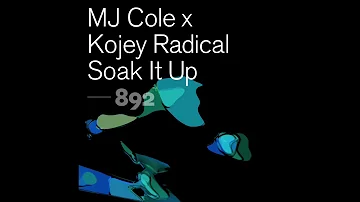 MJ Cole x Kojey Radical - Soak It Up (Official Audio)