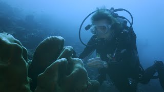 Rolex Perpetual Planet Initiative – Mission Blue: Galápagos Expedition – Ep. 3