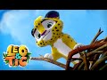 Leo and Tig - An old friend - Episode 10 - Funny Family Good Animated Cartoon for Kids