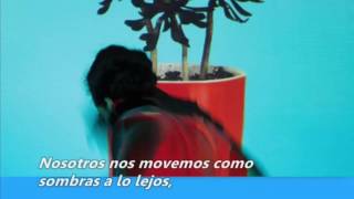 Local Natives - Ellie Alice (Subtitulada)