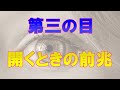 第三の目(サードアイ)が開眼すると何が起こる？覚醒のきっかけやサイン前兆で気づいて！