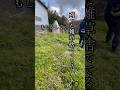 もう雑草、草刈りで悩まない、雑草が宝に変わる瞬間 #自給自足 #農業 #家庭菜園 #田舎暮らし #自然 #菌ちゃん農法