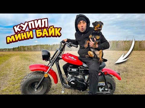 Купил мини баик внедорожник. Поехал ставить кленовыи сок