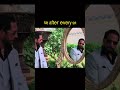 Majnu Bhai