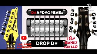 35 6 Strings DROP D TUNING HALF STEP D A D G B E