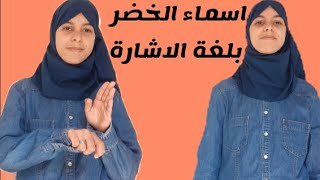 الحلقة 21: اسماء الخضر بلغة الاشارة