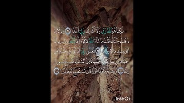 سوره الكهف عدد آياتها ١١٠ آيه(سوره مكيه ) من الآيه ٣٨ إلي الآيه ٤١