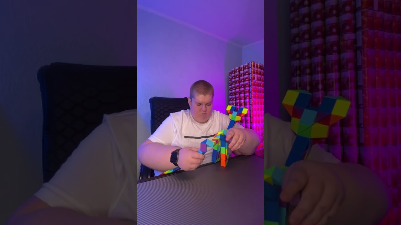 Змейка Рубика 244 элемента СФИНКС