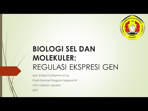 Video: Apakah gugus metil meningkatkan ekspresi gen?