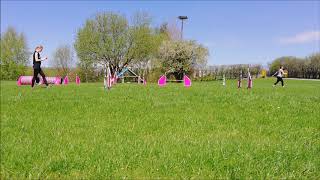 Ejden, agility training 29/04