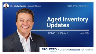 NetSuite Inventory Aging Demonstration Video