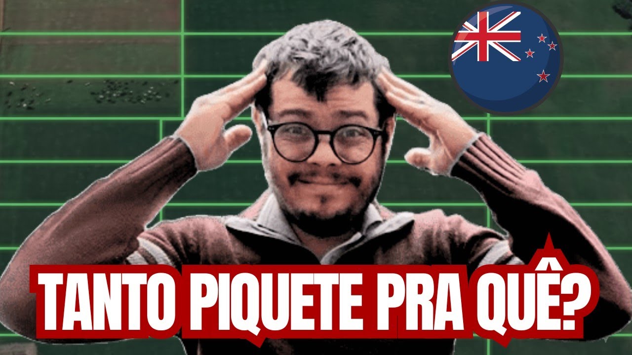 Menos Piquetes, Mais LUCRO (Revela Estudo da NZ)