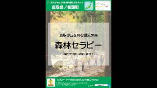 智頭町の施策や施設を紹介するシリーズ森林セラピー編