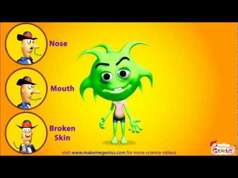 Germs Movie for Kids - Virus & Bacteria Introduction