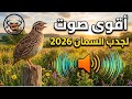 صوت السمان  الفري       الأصلي                                 حالتي