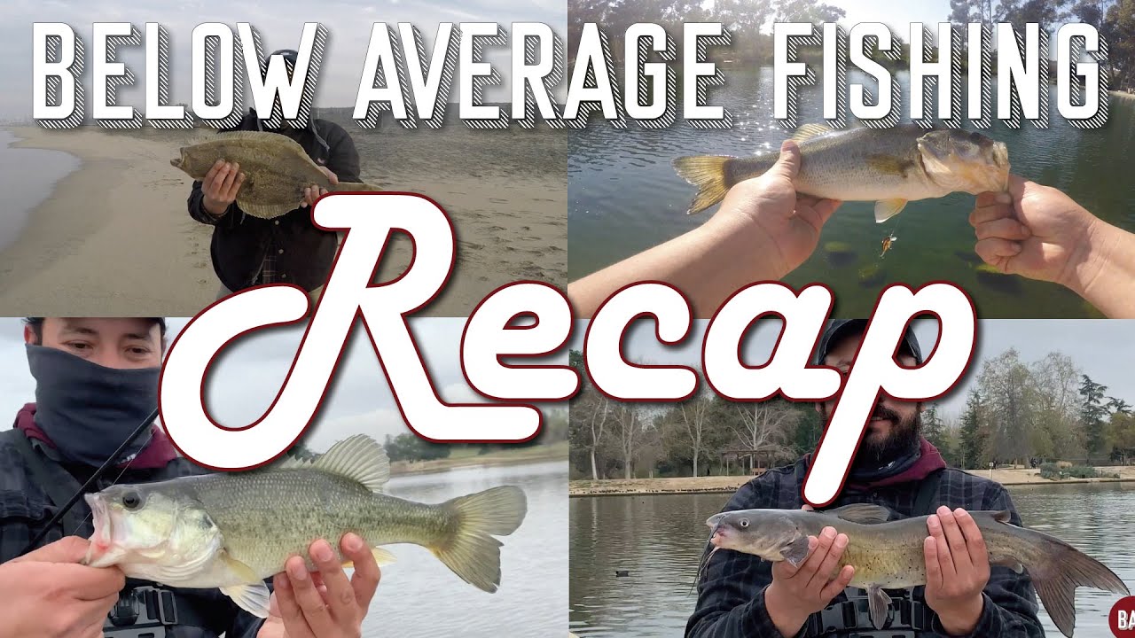 Recap Video | Halibut, Catfish, Bass, Croaker Fish Lake Balboa | Hansen Dam | Dockweiler