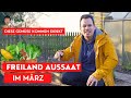 Freiland Aussaat März - Alle Gemüse für die März Aussaat
