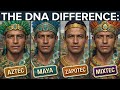 Aztec Maya Zapotec Mixtec What DNA Actually Separates Them