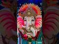 My colony ganesh
