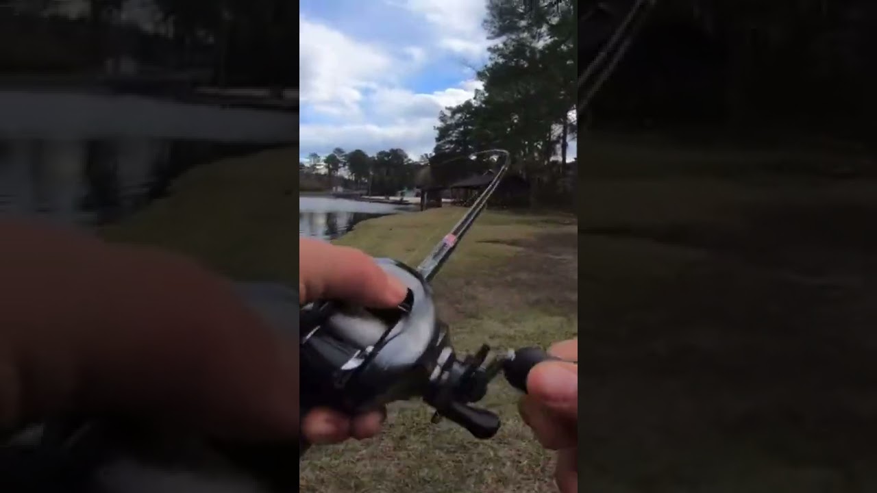 Я поймал своего НОВОГО ПБ-БАСА! (Огромного!) 