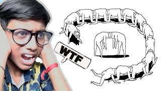 Why Does This Game Explained!! In |Plug & Play| Full Gameplay