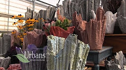 Urbans Greenhouse: Rudolph WI: Draped Hypertufa Planters