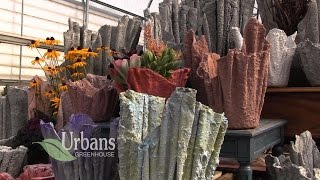 Urbans Greenhouse: Rudolph WI: Draped Hypertufa Planters
