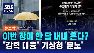 Is the monsoon going to last all month? KMA takes "firm action" in anger / SBS / News Ddak