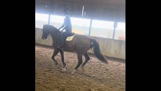 Shark Jump Work March 2024