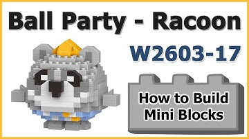 How to Build Mini Blocks Ball Party Racoon W2603-17 Review Instructions Specifications