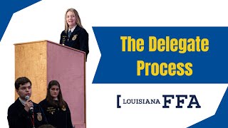 The Delegate Process