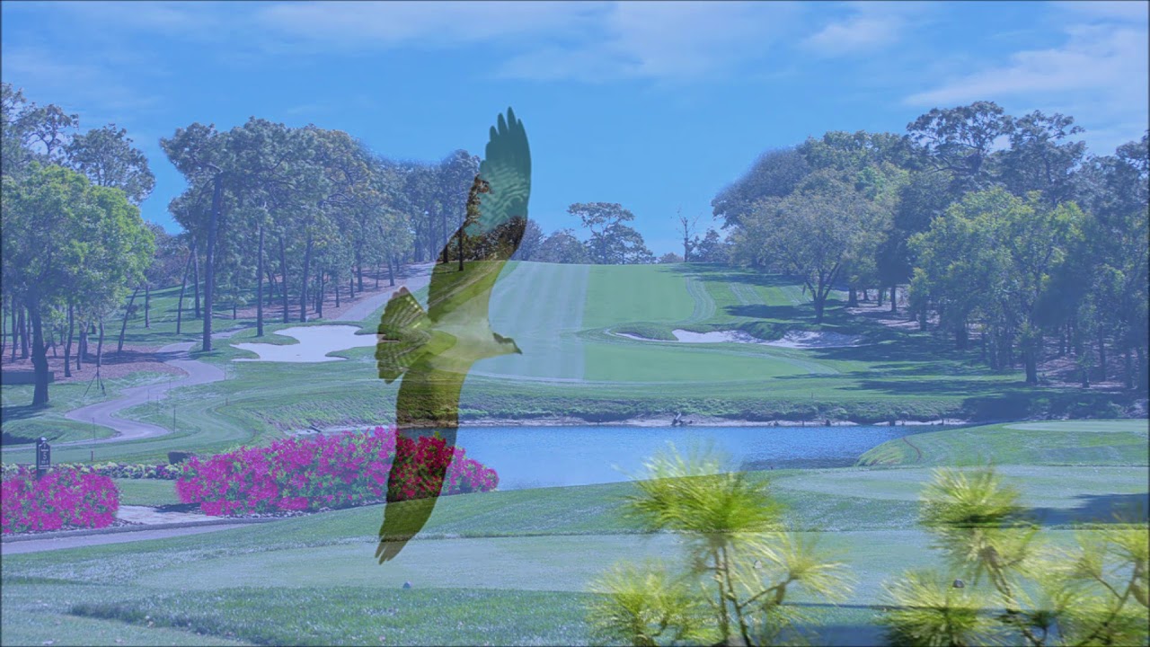 Innisbrook Golf Resort and Spa updated Condo for Sale YouTube