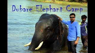 Dubare Elephant Camp, Coorg (Elephant Bath)