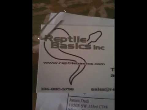 Reptile Basics Inc. - YouTube