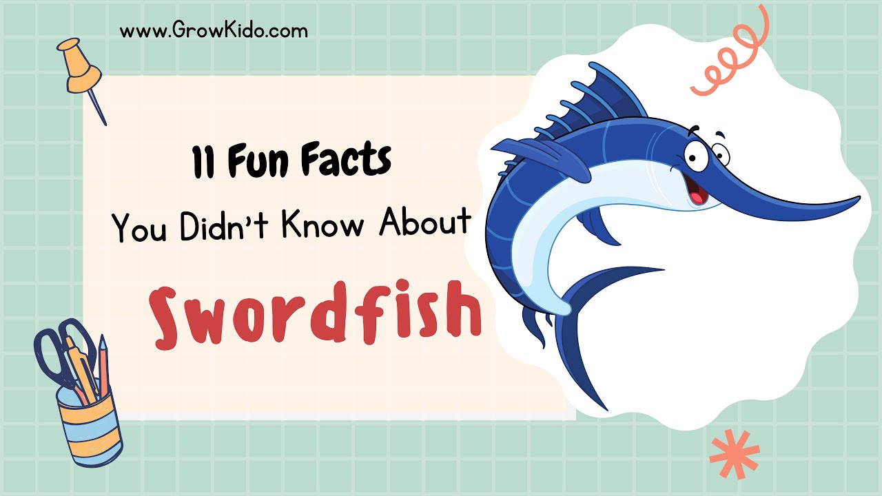 11 Amazing Swordfish Facts You Didn't Know [Must Check 3] YouTube