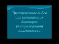 Тренировочное видео для начинающих докторов ультразвуковой диагностики