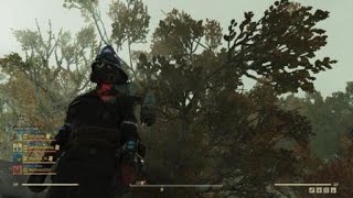 Famous Fallout 76_Idle Explosives Net Worth